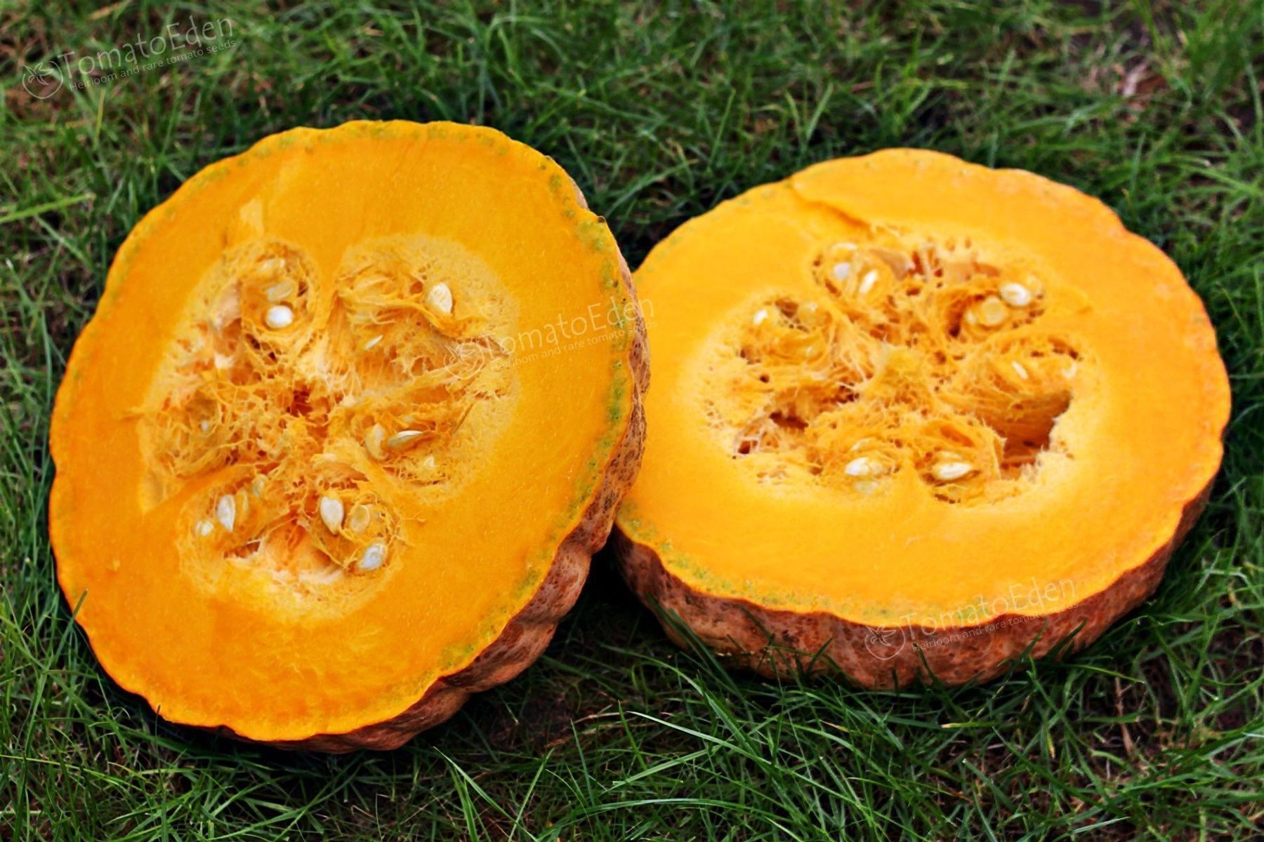 Pflanzen & Samen: 7 Samen AUSTRALIAN BUTTER Kürbis – Neu (gemäss Beschreibung) aus Ehrendingen von VerveinaSamen 3