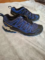 Salomon XA Pro 3D  Wander / Trailschuhe Grösse 45 1/3