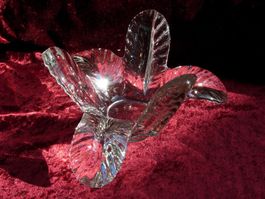Très élégante coupe en verre en forme de fleur, magnifique
