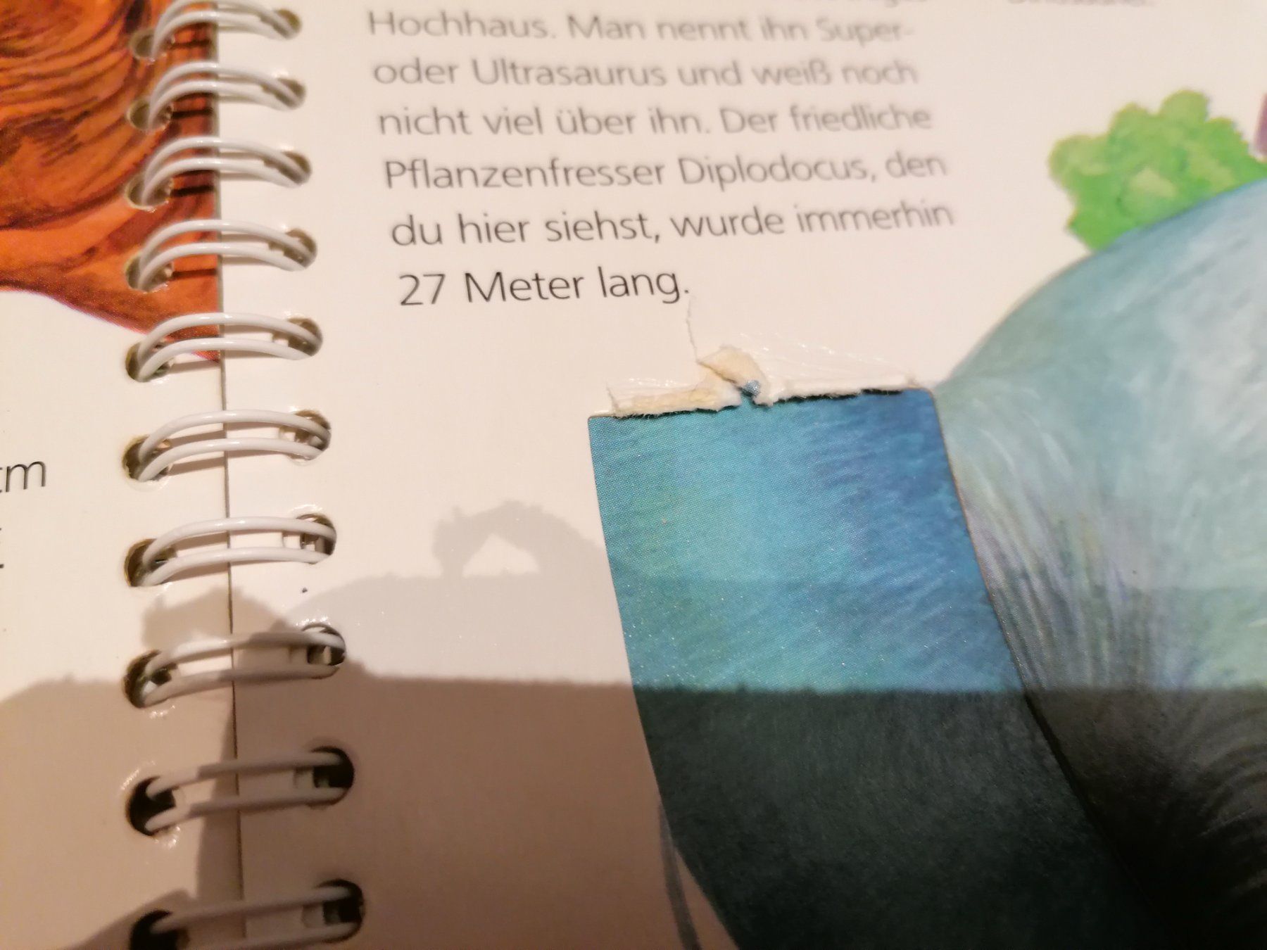 Bücher: Wieso Weshalb Warum Dinosaurier – Gebraucht aus Büttikon AG von Amineah 6