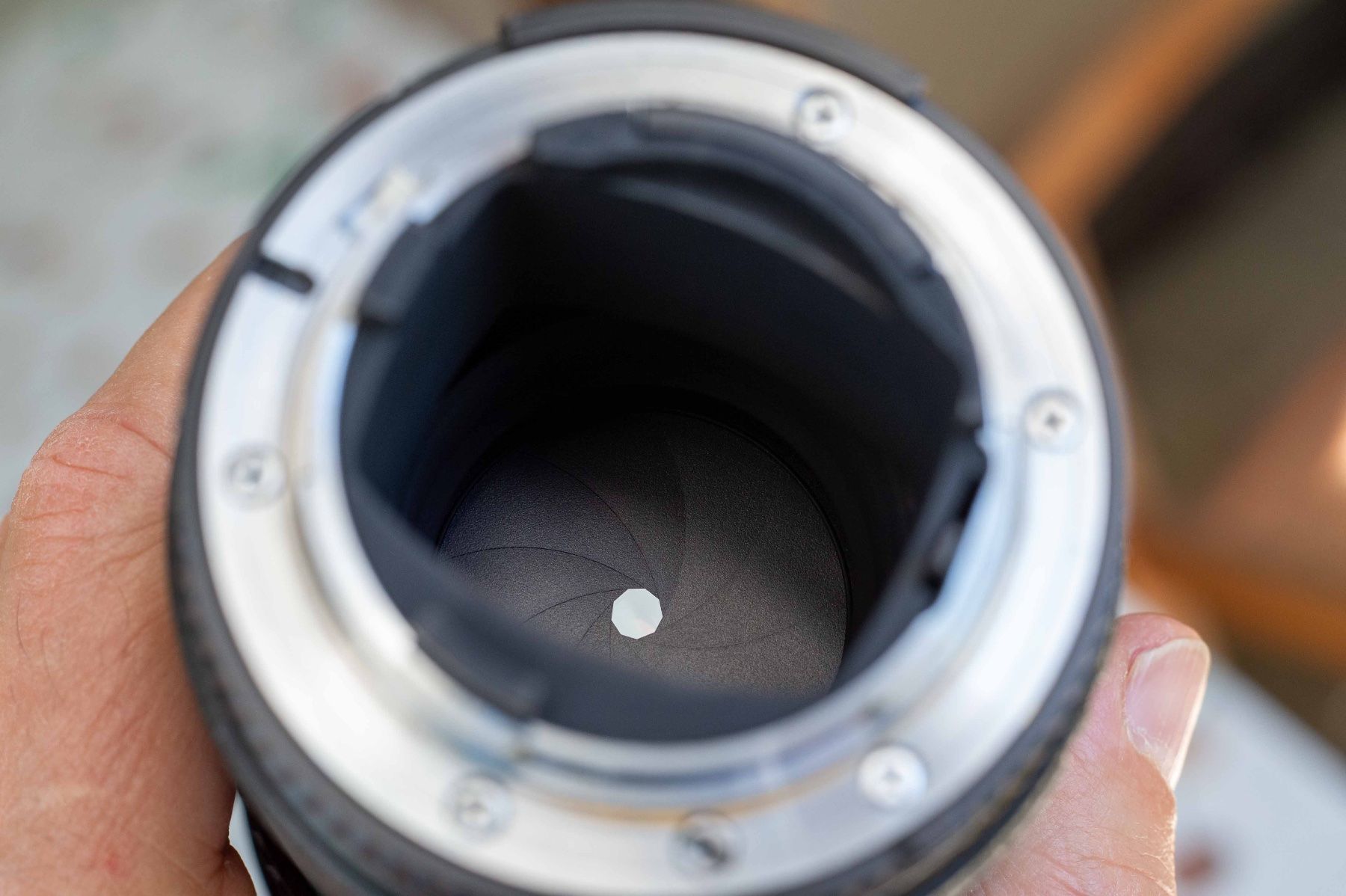 Nikkor Obiettivi: Nikon AF-Nikkor 180mm f2.8 – Usato da Schwerzenbach venduto da floridan 7