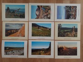 Cartes de membres Les Amis du Mont-Racine