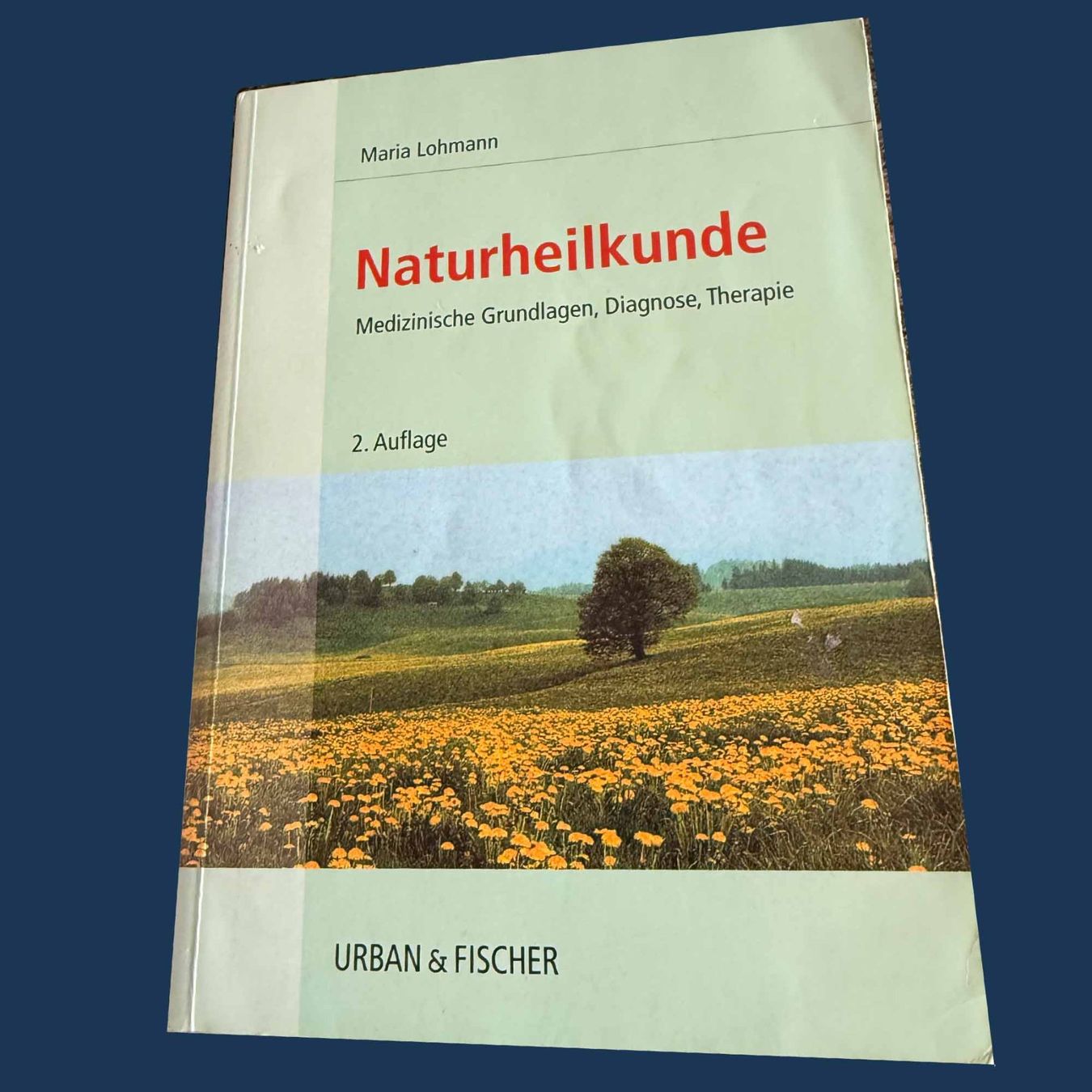 Libri: Heilpraktiker Bibliothek – Usato da Bern venduto da gubaro 3