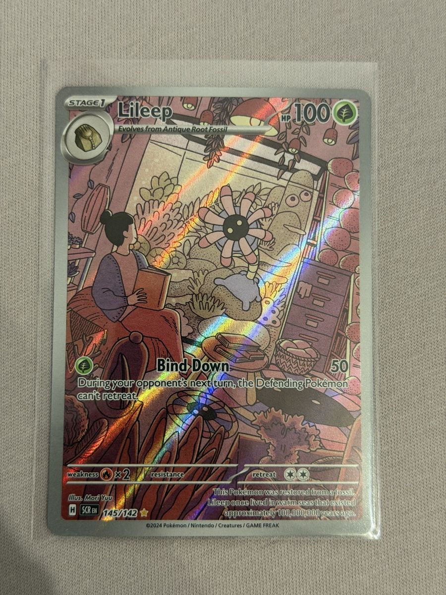 Pokémon Carte collezionabili: Pokémon Lileep 145/142 Stellar Crown – Nuovo (secondo la descrizione) da St. Gallen venduto da Xbylucas