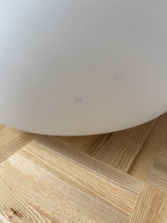 Lampade: Pendellechte Muuto Fluid – Usato da Buchs AG venduto da ele_bz8g 3