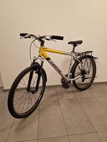 Top Jugendvelo CANYON