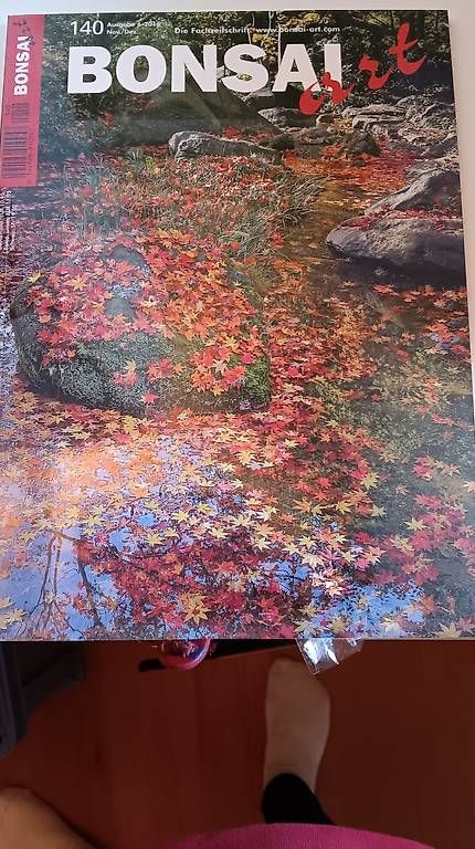 Foto & Immagini: Bonsai Art Ausgabe 1-140 – Usato da Schüpfheim venduto da pepper03
