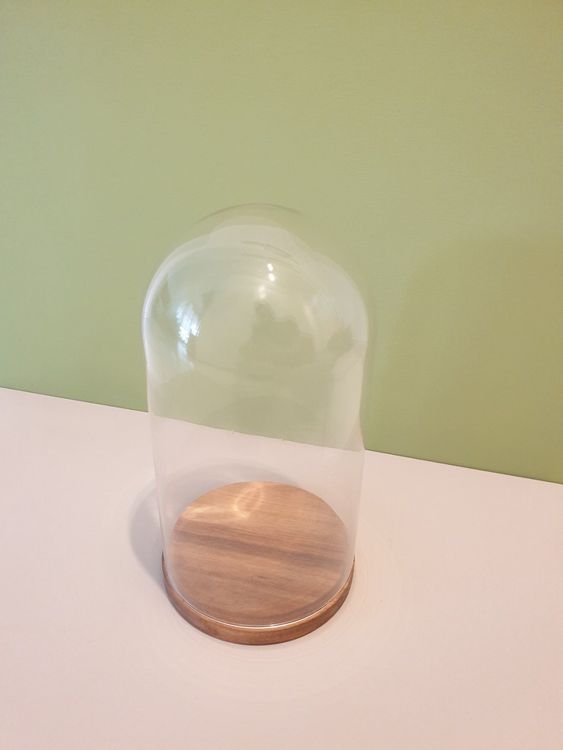 EMH Cloche En Verre Avec Base Hêtre Naturel Taille M 31 Cm - Dôme Décoratif