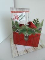 Besondere Weihnachtskarten (Doppelkarten und Kuverts)