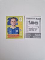 Panini Sticker BIH8