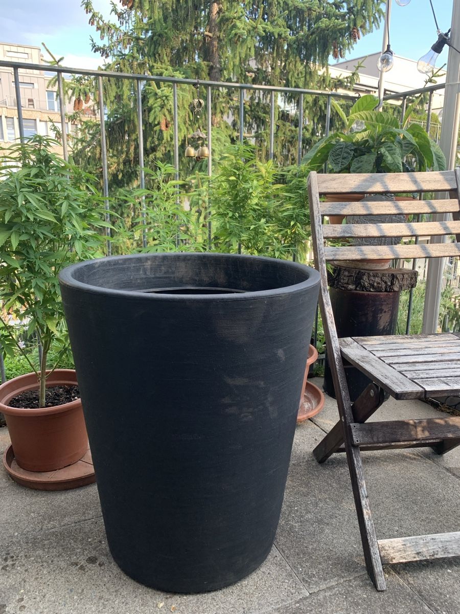 Vasi per fiori: Pflanzentopf XXL – Usato da Zürich venduto da benebiene