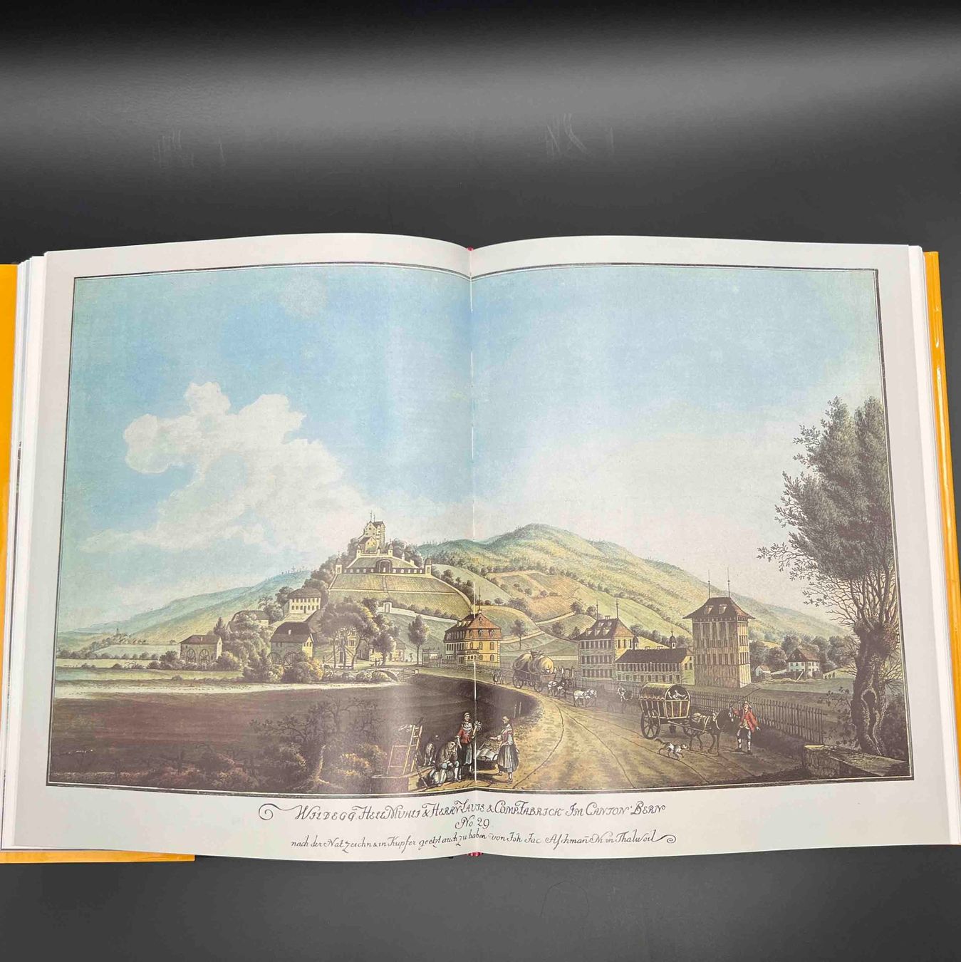 Libri: Die Post in der Schweiz A. Wyss Hallwag Bern 1987 – Usato da Häusernmoos venduto da Eselsohren 2