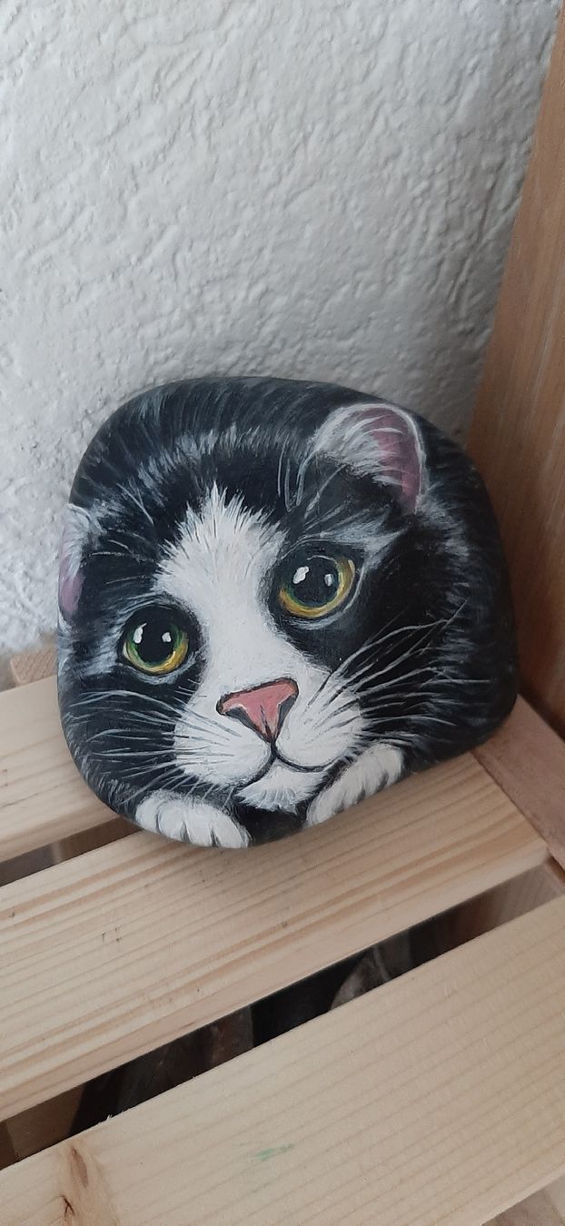 Statuette: Katze gemalt auf Stein – Nuovo (secondo la descrizione) da Affoltern am Albis venduto da Fossil60