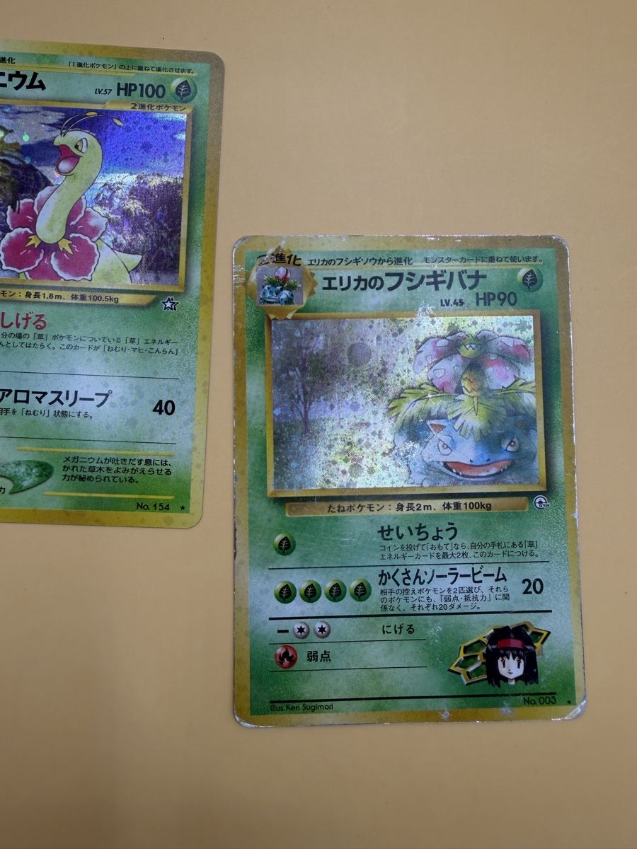 Pokémon Carte collezionabili: Pokemon Karten Meganium & Venusaur – Usato da Wetzikon ZH venduto da KartenKid 1