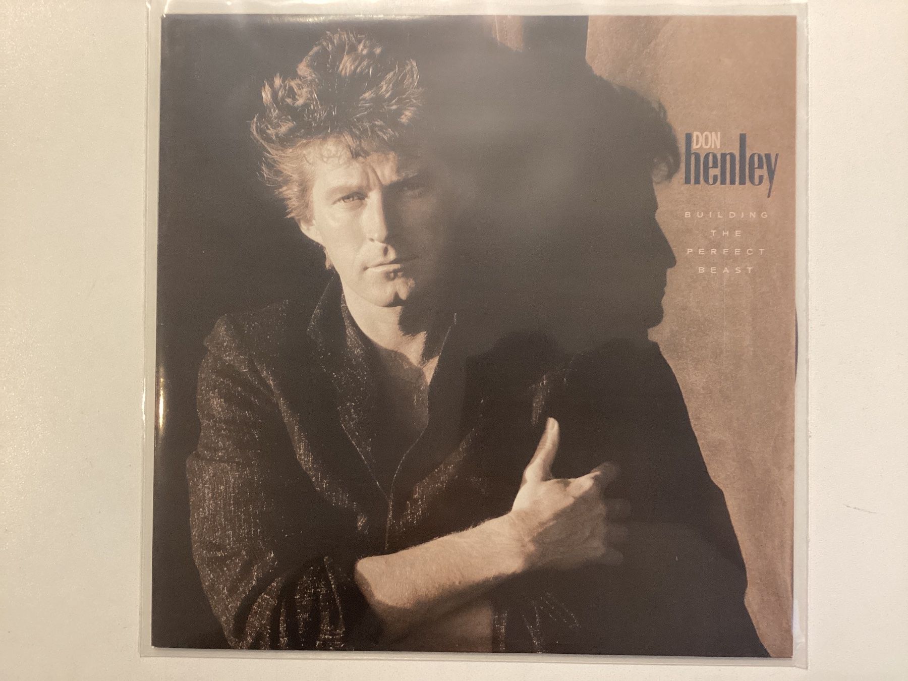 Dischi in vinile: Don Henley LP - Building Perfect Beast – Usato da Gutenswil venduto da Hamzian