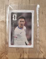 Panini WM 2026 Coca-Cola Sticker CC12 Antonee Robinson USA