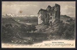 Habsburg, Schloss, Stammschloss des öst