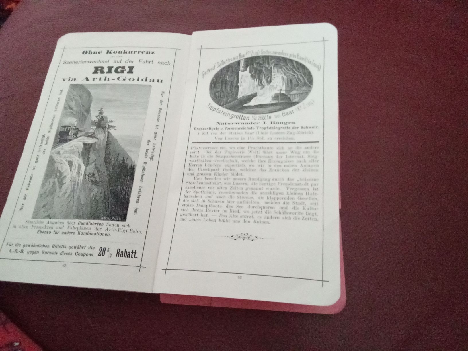 Libri: DER GLETSCHER-GARTEN LUZERN UM 1910 – Usato da Muri BE venduto da Alk 3