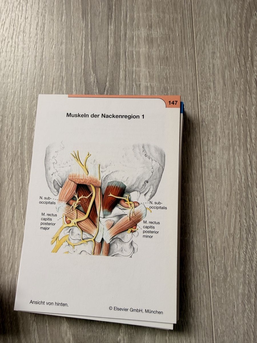 Altro materiale scolastico: Sobotta Lernkarten Anatomie  – Usato da Nussbaumen AG venduto da nad_lq9s 3