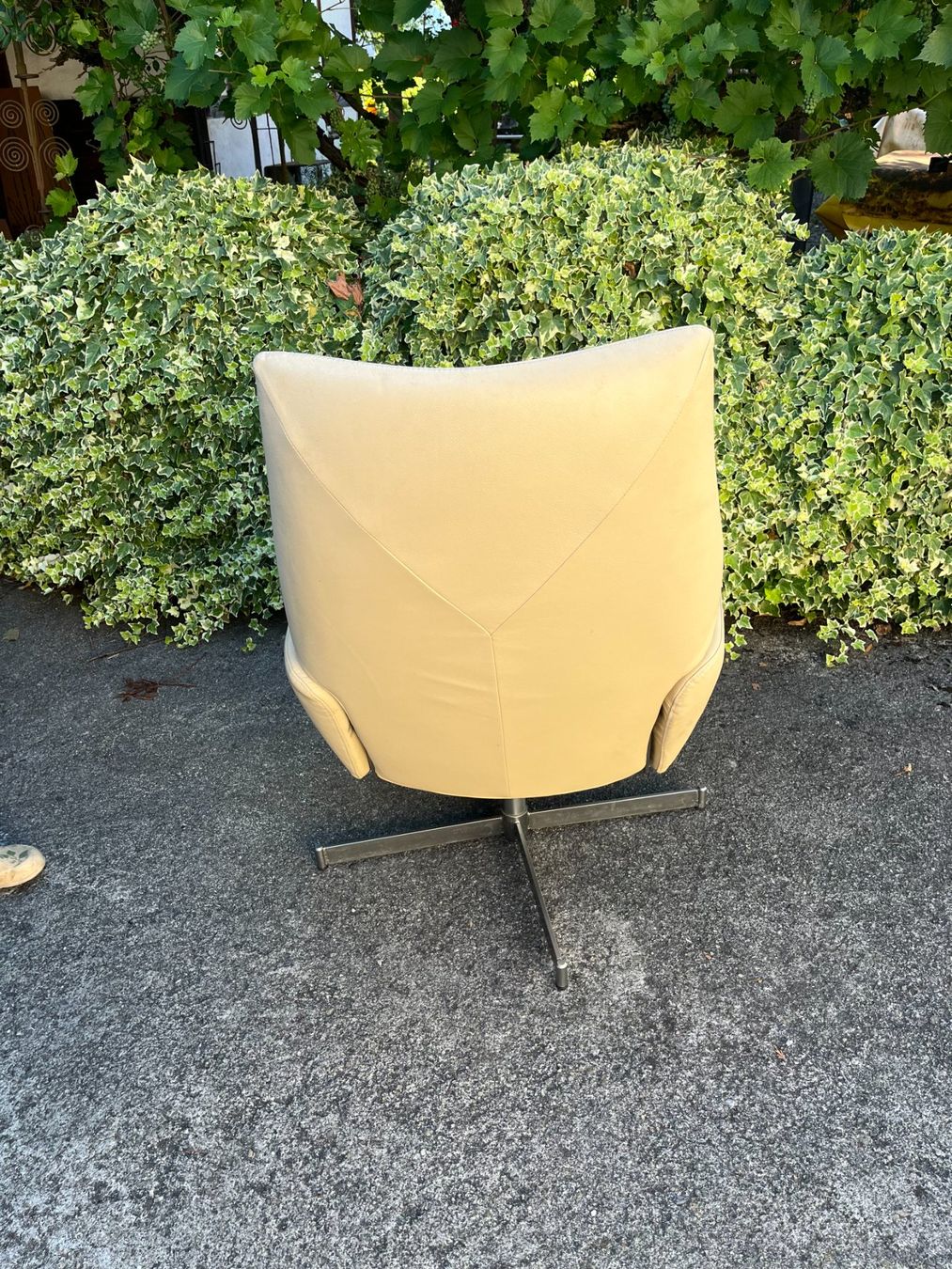 Pfister Poltrone: Ledersessel Lotus von Pfister – Usato da Steffisburg venduto da guidamba 3