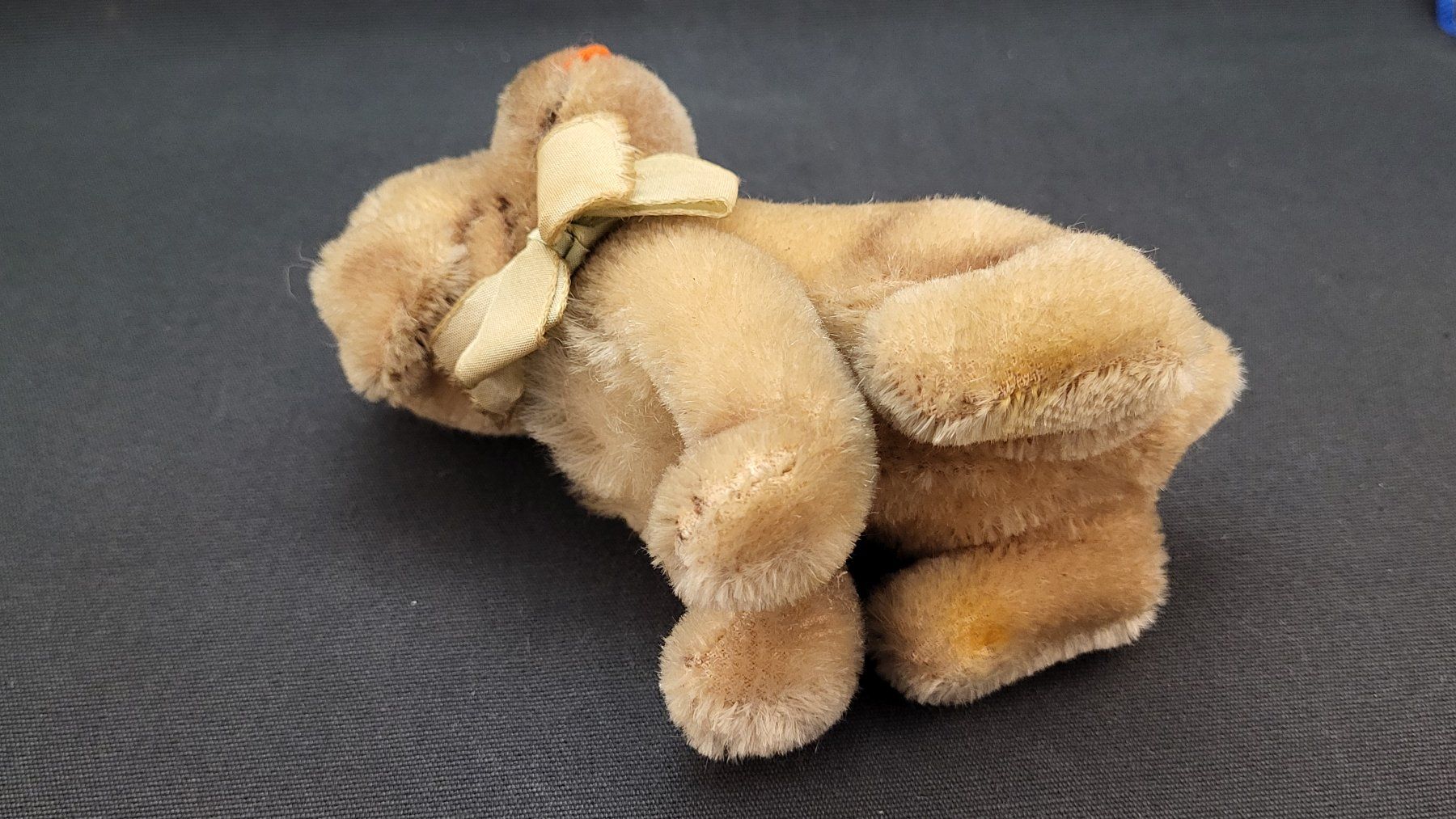 Steiff Giocattoli: STEIFF Hund Mopsy – Usato da Basel venduto da spinne02 9