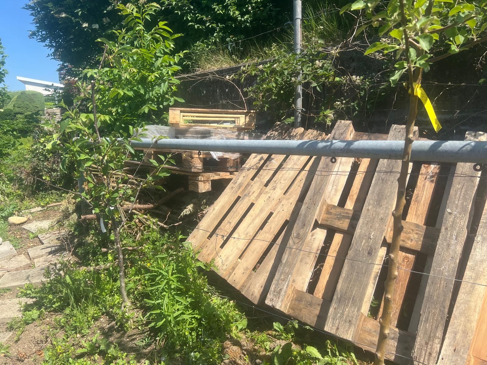Piatti di portata: Gratis Baumaterial / Fliesen / Lavabo / Paletten / Platten – Usato da Füllinsdorf venduto da cabletime 8