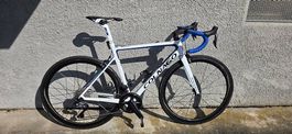 Colnago V3RS 