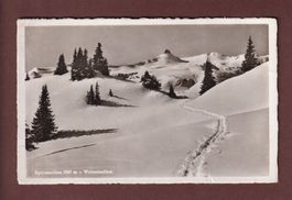 SPITZMEILEN - Weissmeilen // Falte //