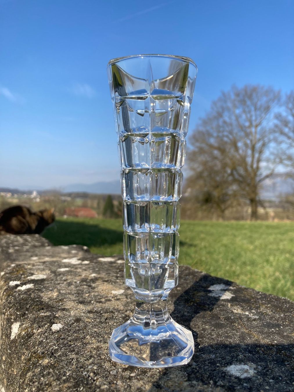 Vasi & Recipienti: BLUMENVASE GLAS VASE  ROSENVASE   60TIES VINTAGE – Usato da Subingen venduto da ArtBead 2
