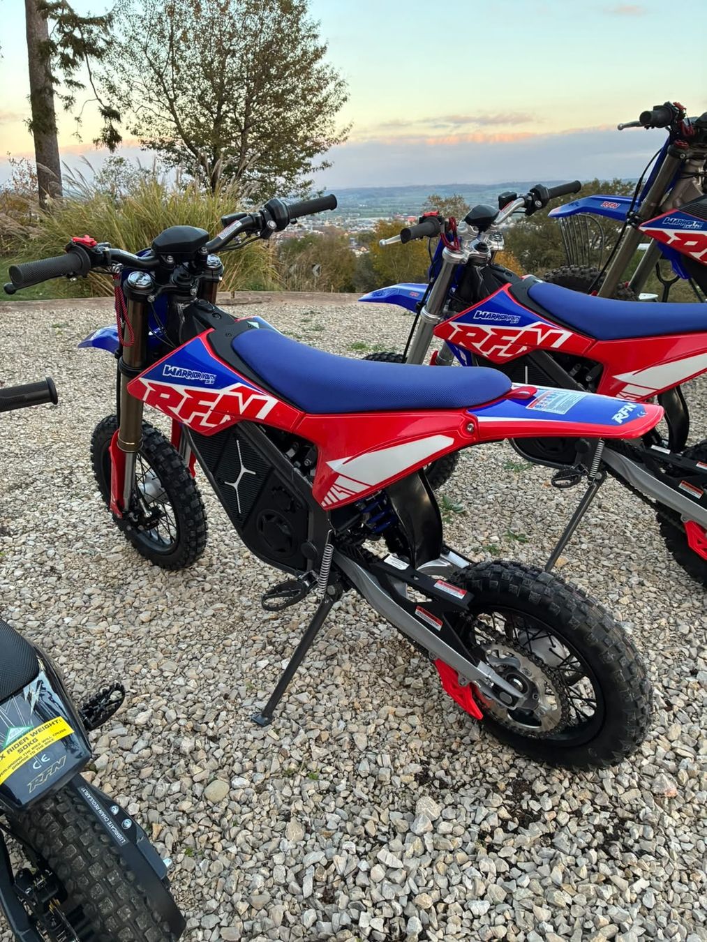 Enduro: RFN SX-2 – Nuovo e nell'imballaggio originale da Lengnau BE venduto da Moritz1991 1