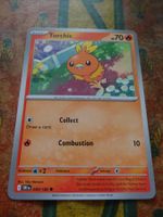 POKEMON  Torchic    I  DRI EN  040/182  HP70  2025