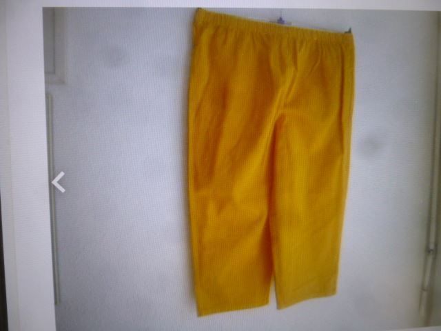 Pantaloni: Hose Capri Orange Baumwolle NEU – Nuovo (secondo la descrizione) da Hinwil venduto da Glasperlen 1