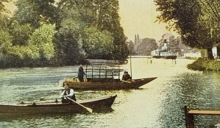 Ansichtskarten: Thun - Aare - Ruderboot  - Dampfschiff im Hintergrund – Gebraucht aus Rothrist von RROENK 1