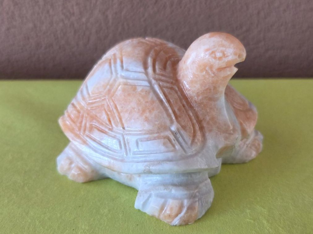 Sculture & Statue: Schildkröte aus Marmor – Nuovo (secondo la descrizione) da Roggliswil venduto da Mabelco
