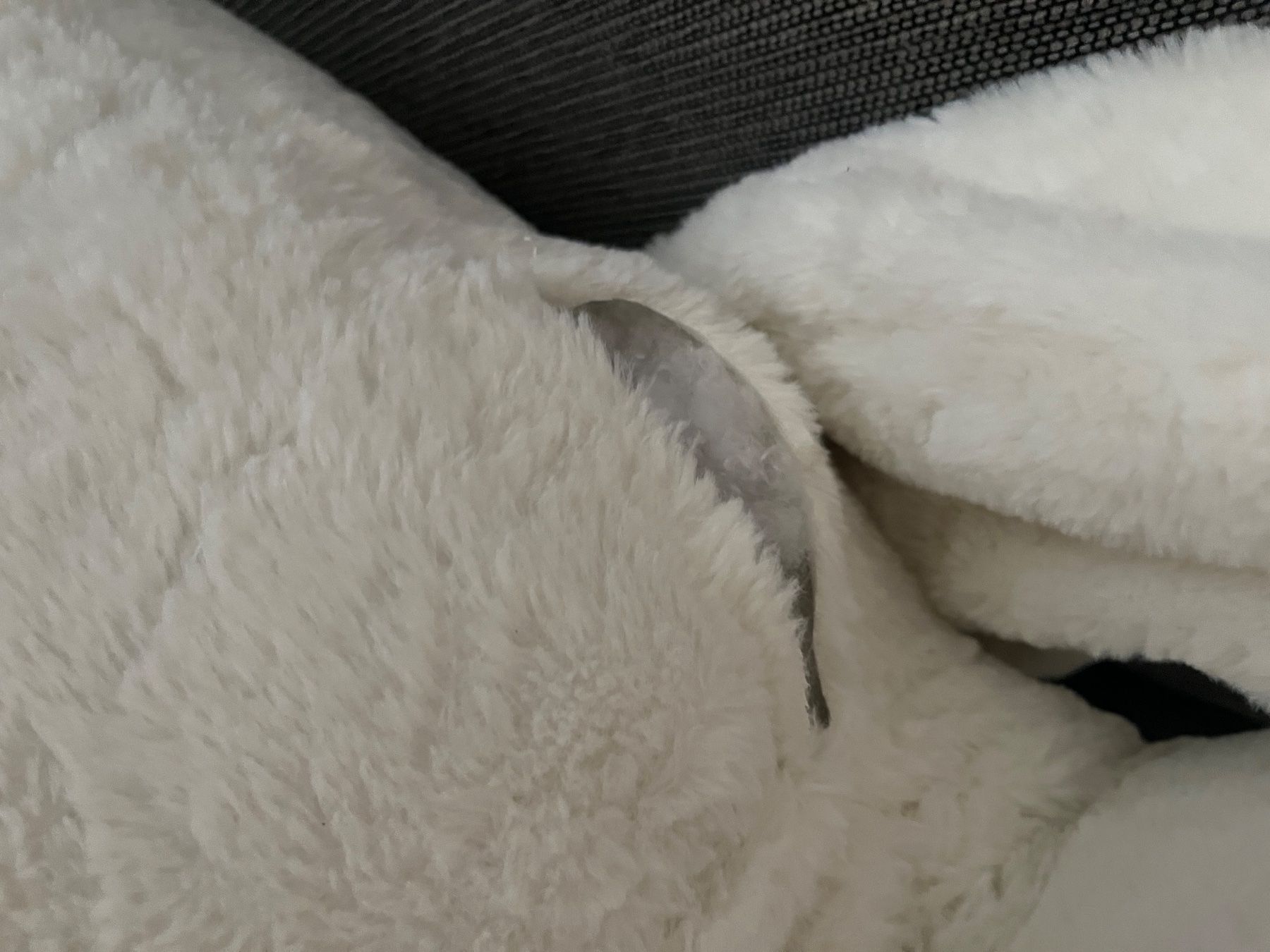Giocattoli: Riesiger Kuschelhase – Usato da Giebenach venduto da mon_ft27 1