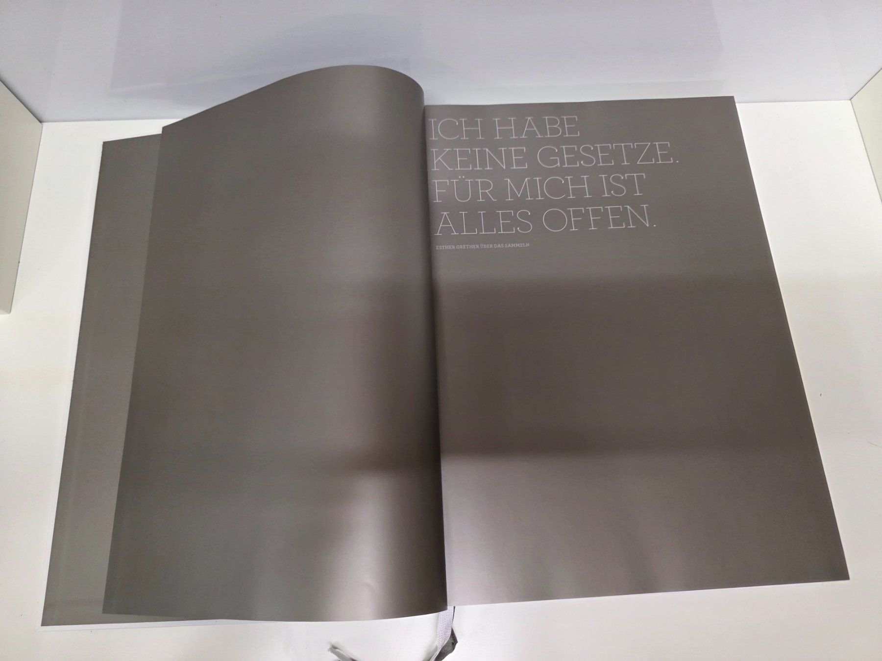 Livres: Buch Sammlung Esther Grether: Affinité Élective Kunst 2013 – D'occasion à Herisau par Dinge-in-Bewegung 3