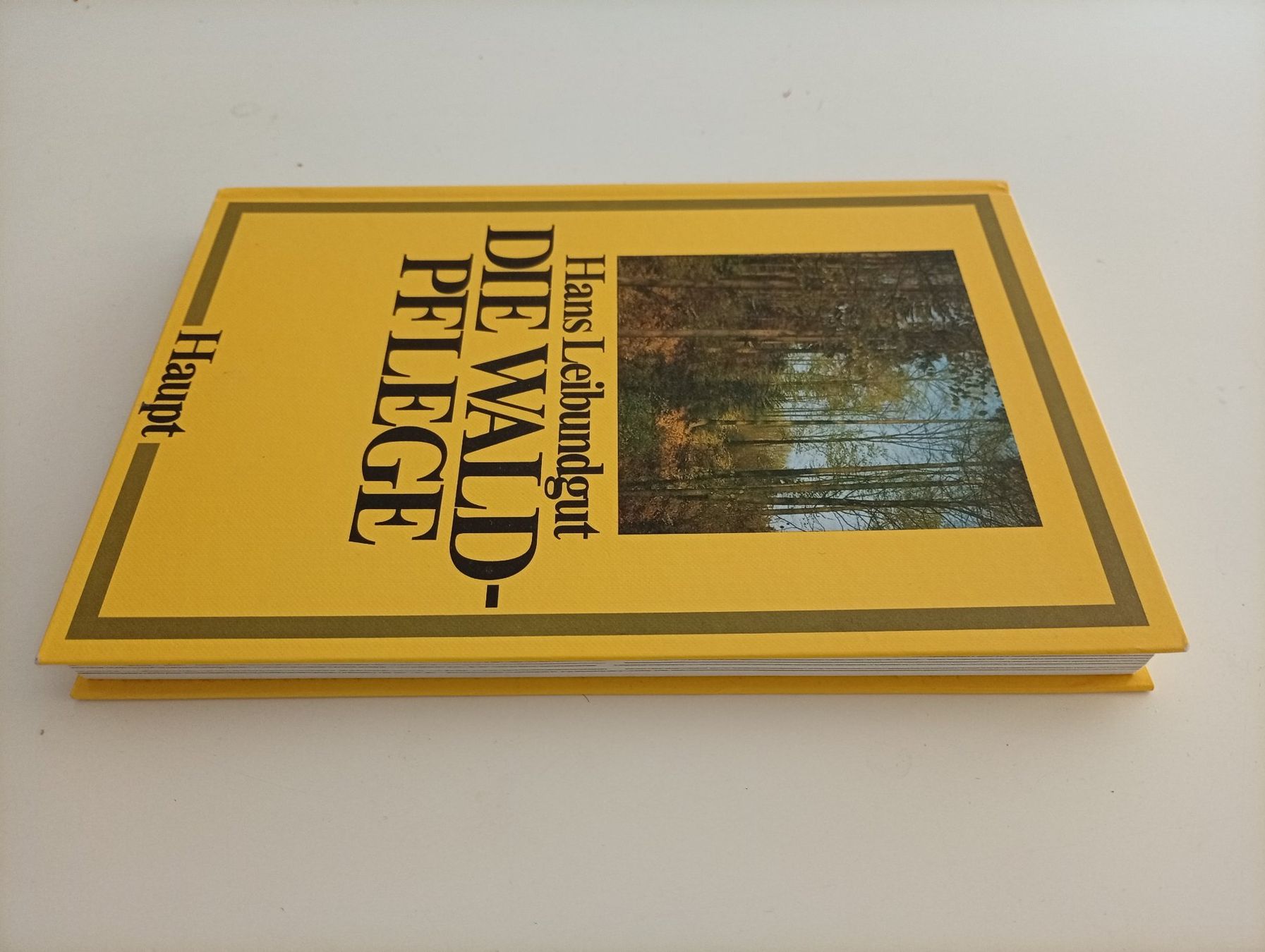 Libri: Hans Leibundgut, Die Waldpflege, 1978 – Usato da Locarno venduto da edn.vintage 5
