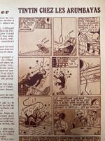 Tintin chez les Arumbayas, Echo Illustré