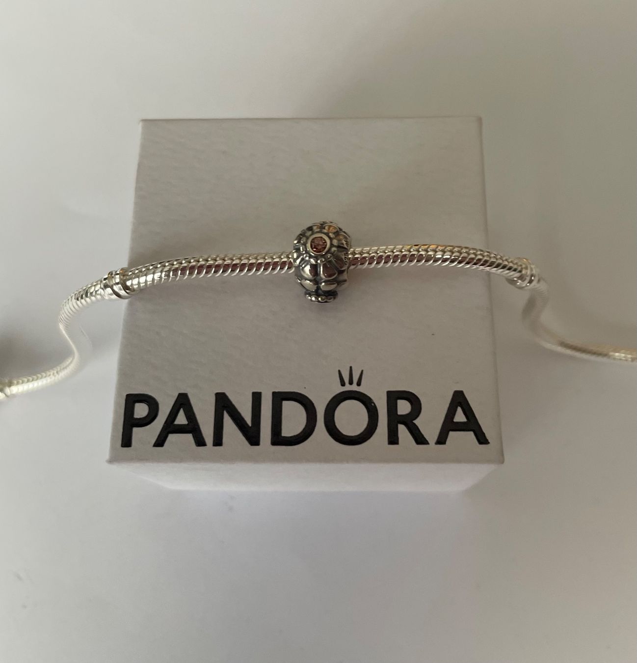 Pandora Ciondoli: Original Pandora Charm Bead – Nuovo e nell'imballaggio originale da Rüfenacht BE venduto da Milena_1 2