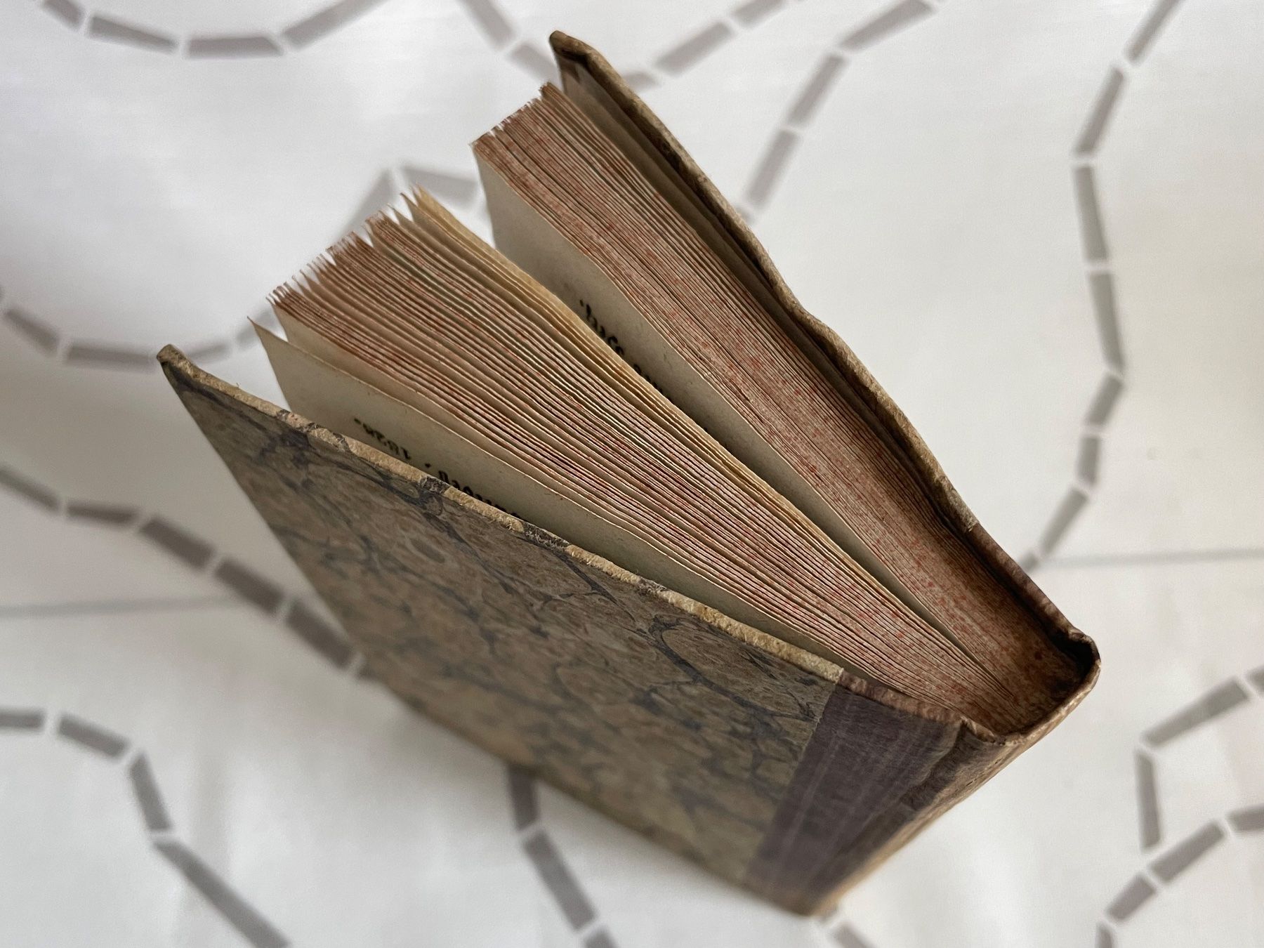 Libri: Schul- und Hausbüchlein 1825 – Usato da Rafz venduto da stg101 2