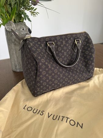 Louis Vuitton Mini Lin Speedy 30