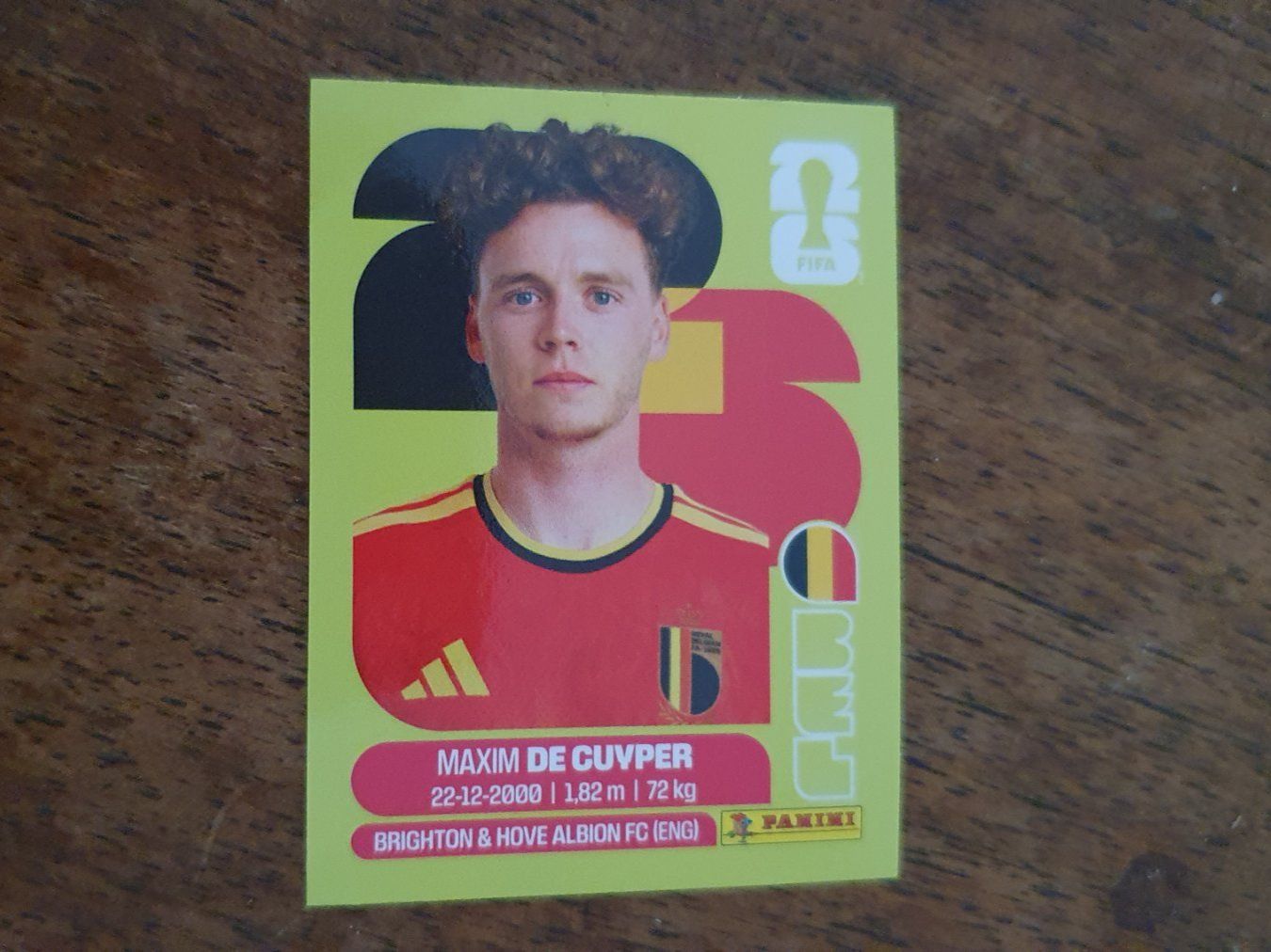 Panini Carte collezionabili: Panini WM 2026 - BEL 7 – Usato da Beromünster venduto da boeggy