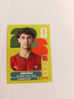 POR 17, Panini WM Sticker
