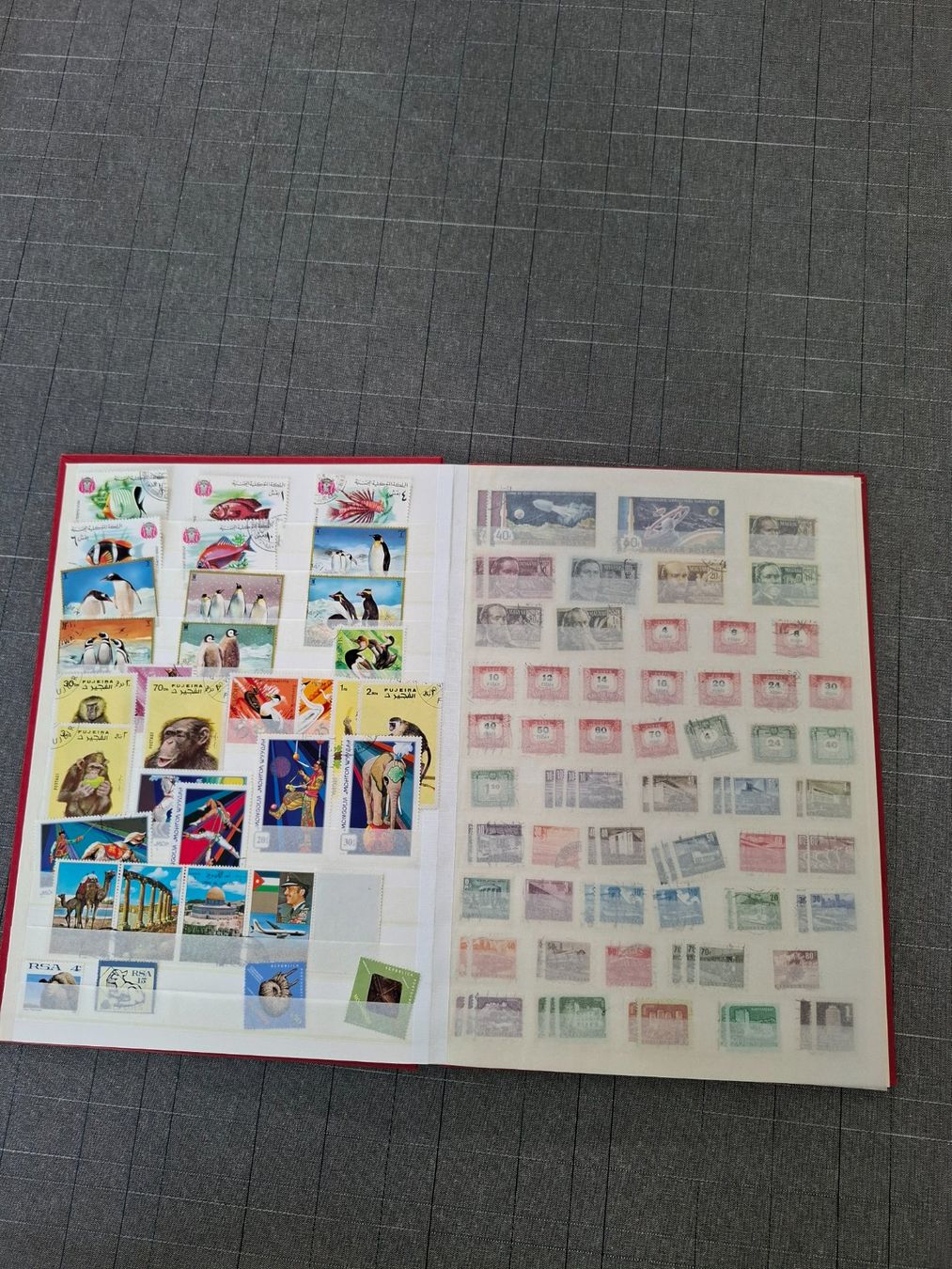 Tutti i francobolli: Briefmarken, Postmarken, Album, Marken, Sammlung – Usato da Eschlikon venduto da Timotwo