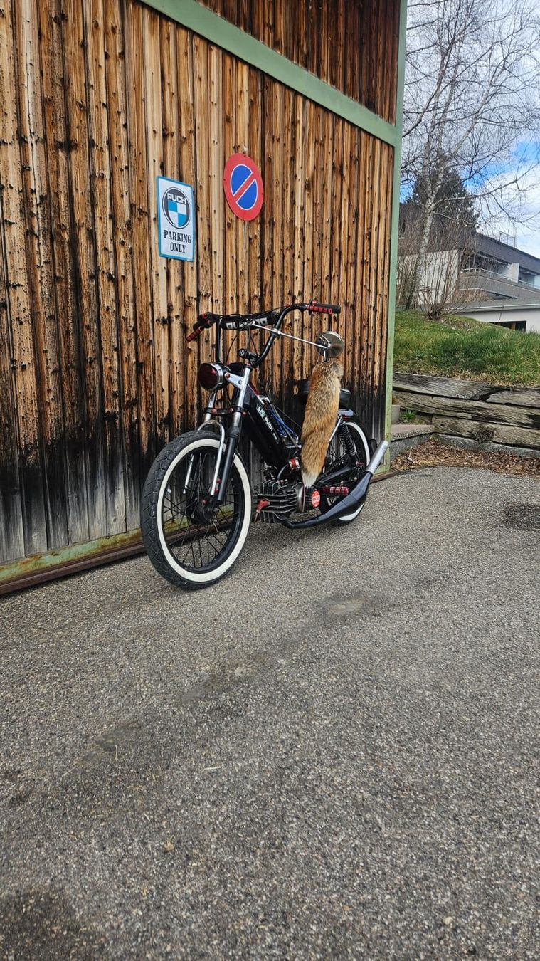 Puch Mofas: Puch Maxi S – Gebraucht aus Rüeggisberg von musketier75 4