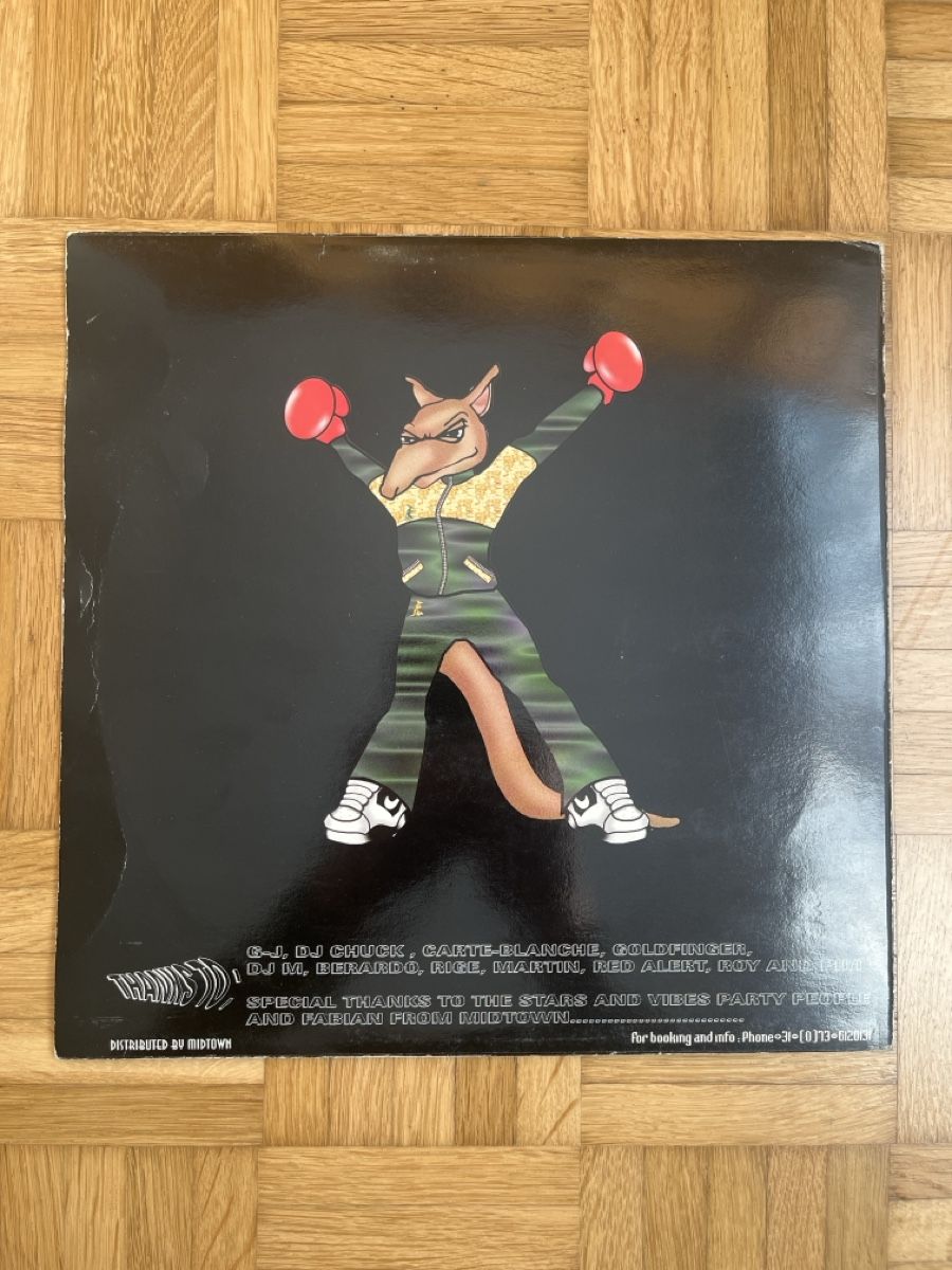 Dischi in vinile: Happy Clappers Hardcore / Gabber Vinyl – Usato da Wangen b. Olten venduto da break72 1