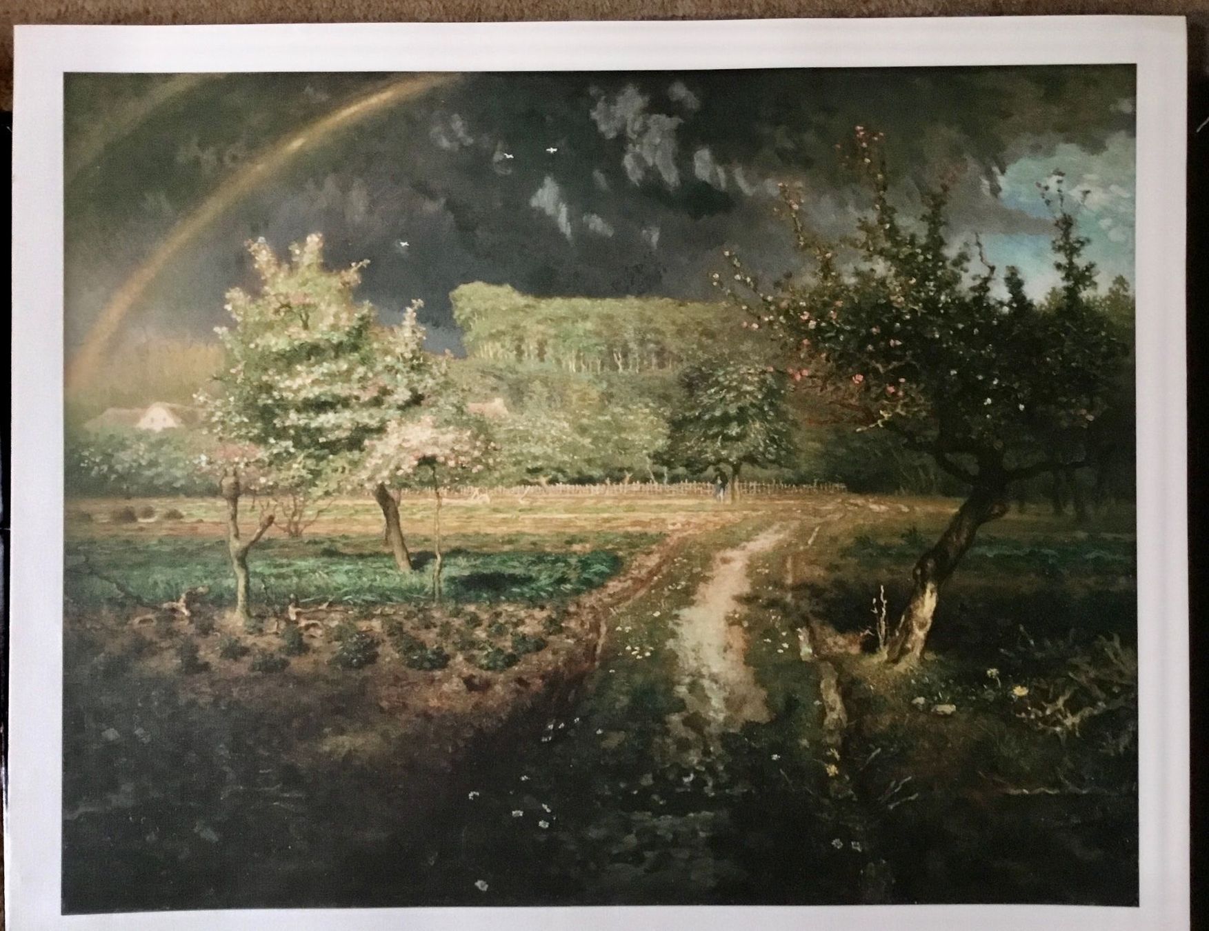 Grafica & Litografie: Lithographie Edition Kunstkreis 1989 – Usato da Schlieren venduto da Jeajet