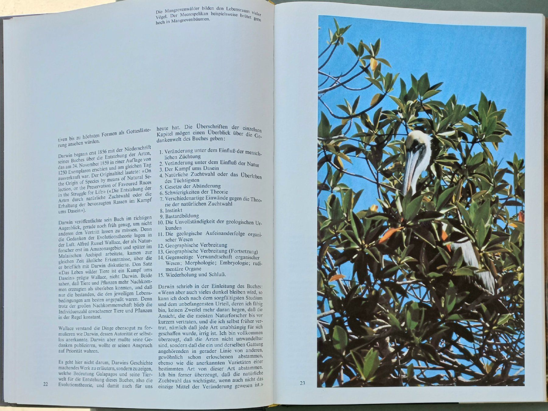 Bücher: Buch - Zoo Galapagos - Silva-Verlag – Gebraucht aus Niederuzwil von lubimaja 4