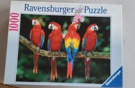 Puzzle Aras 1000 Teile 