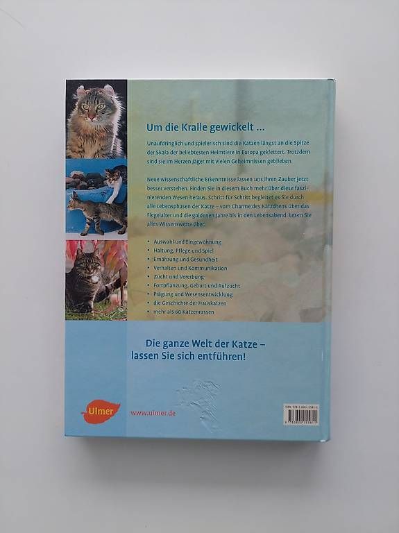 Livres: Alles über Katzen – D'occasion à Balm b. Günsberg par rob_smj8 1